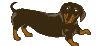 собака анимированные-изображения-gif